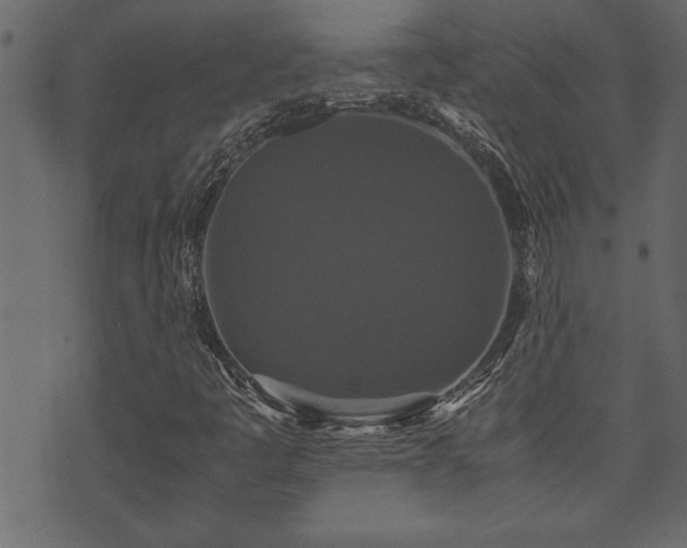 X0000071761445200606301118