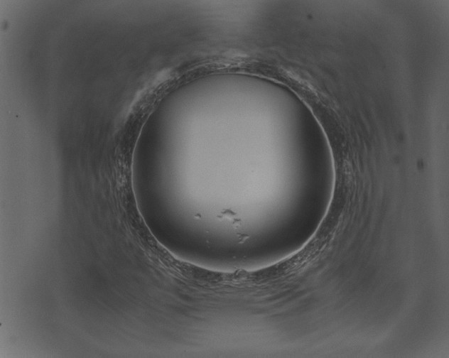 X0000071761447200606301118