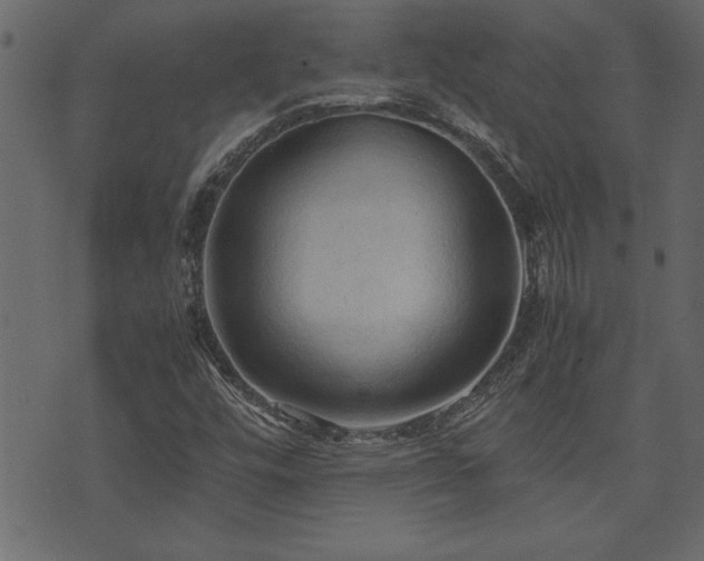 X0000071761448200606301118