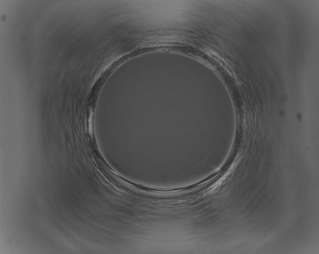 X0000071761449200606301118