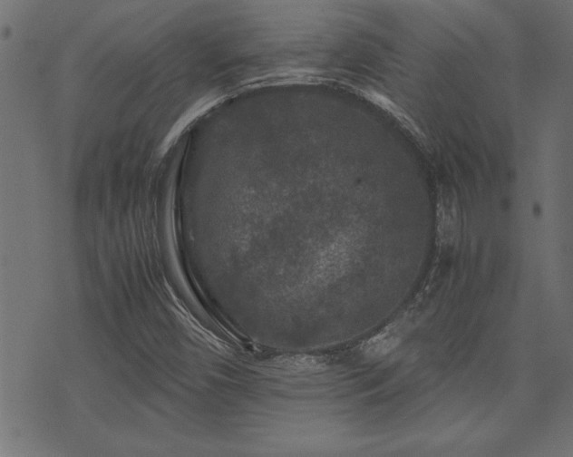 X0000071761450200606301118