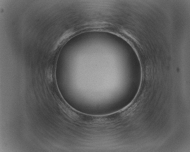 X0000071761451200606301118