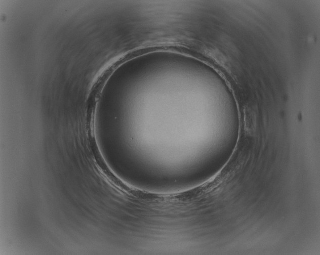 X0000071761452200606301118