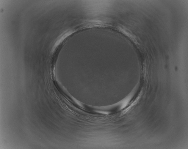 X0000071761453200606301118