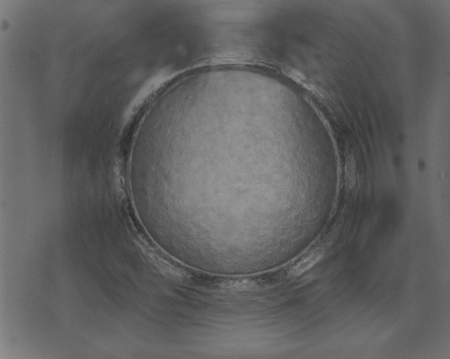 X0000071761454200606301118