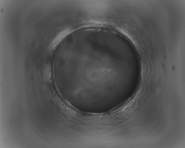 X0000071761455200606301118