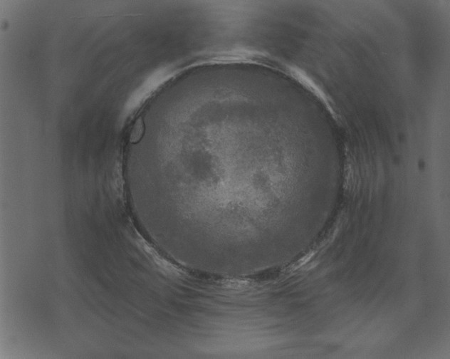 X0000071761456200606301118