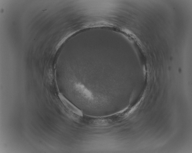 X0000071761457200606301118