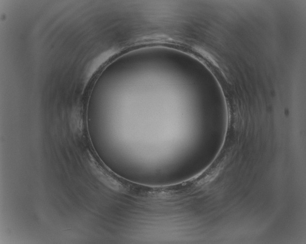 X0000071761458200606301118