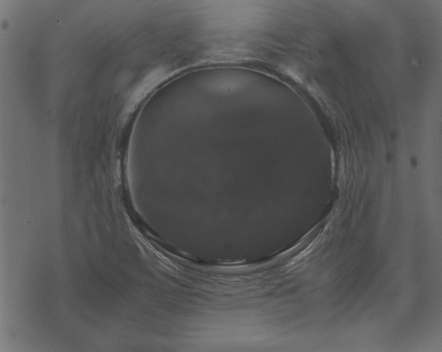 X0000071761459200606301118