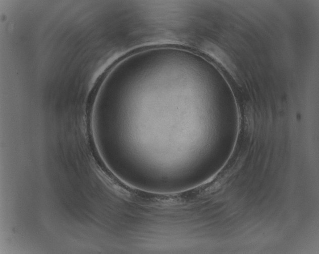 X0000071761460200606301118