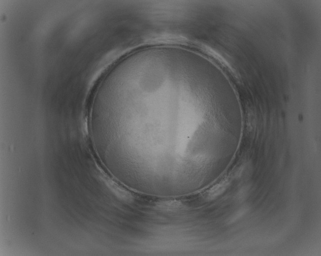 X0000071761462200606301118