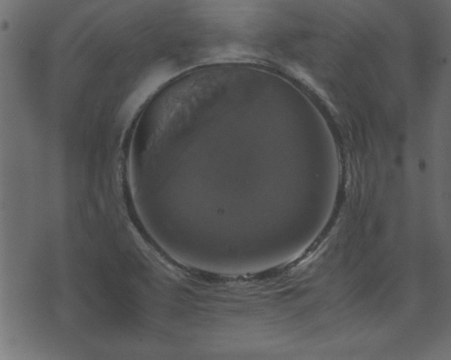 X0000071761463200606301118