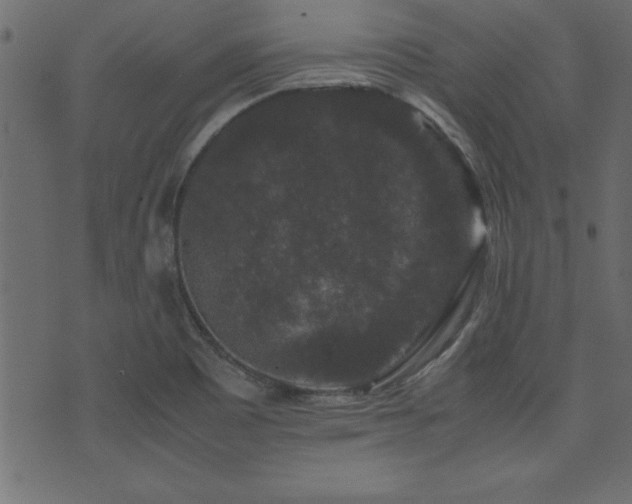 X0000071761465200606301118