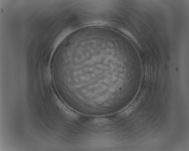 X0000071761466200606301118