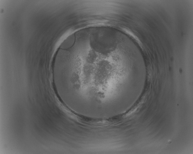 X0000071761467200606301118