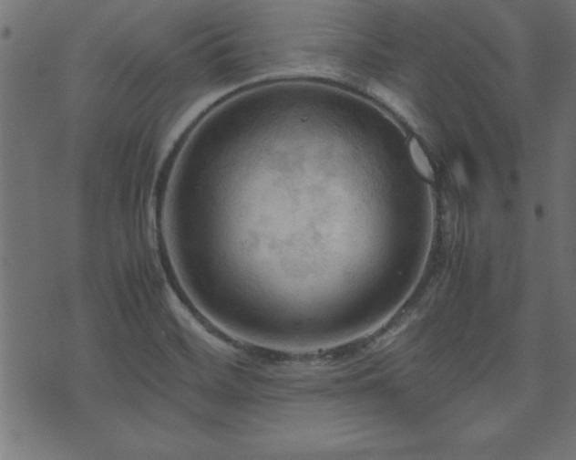 X0000071761468200606301118