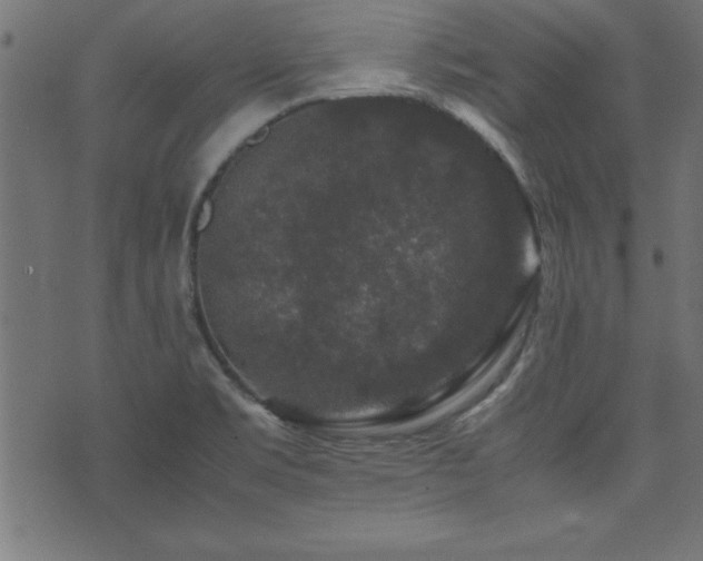 X0000071761469200606301118