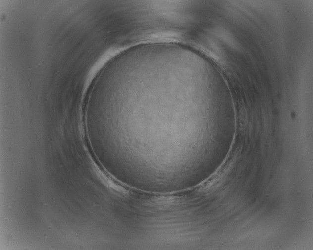 X0000071761470200606301118