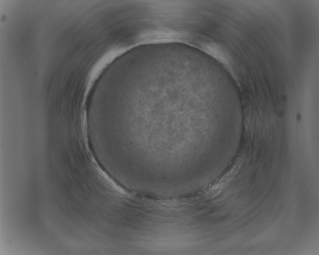 X0000071761472200606301118