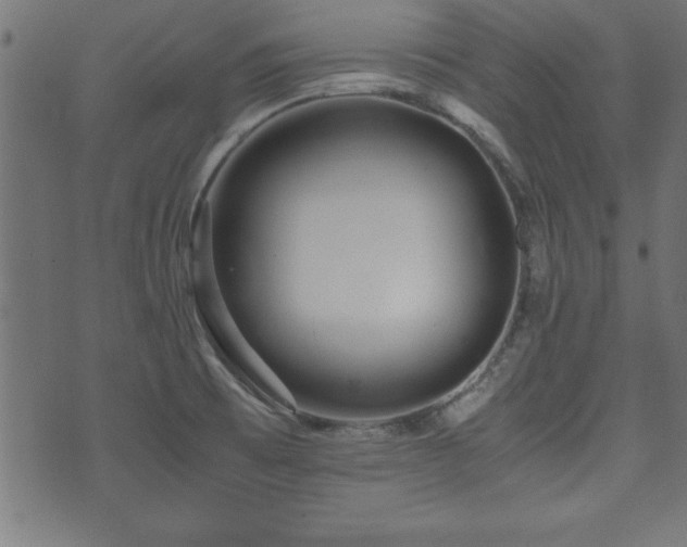 X0000071761473200606301118