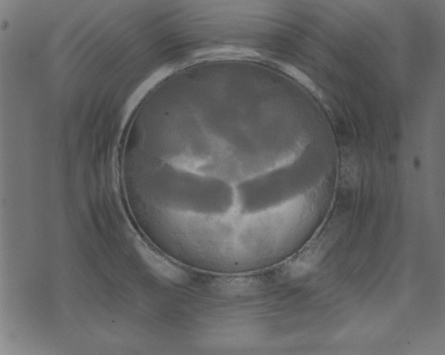 X0000071761474200606301118