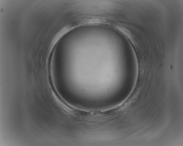 X0000071761475200606301118