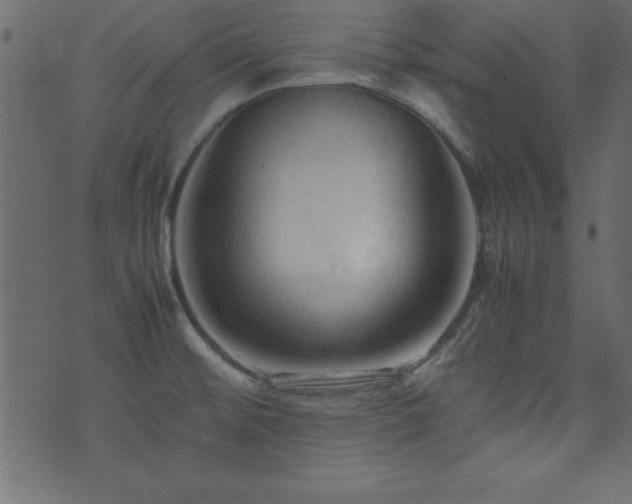 X0000071761476200606301118