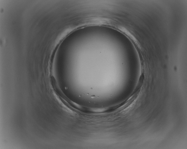 X0000071761477200606301118