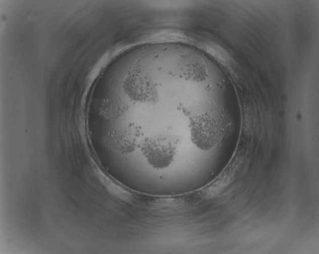 X0000071761478200606301118