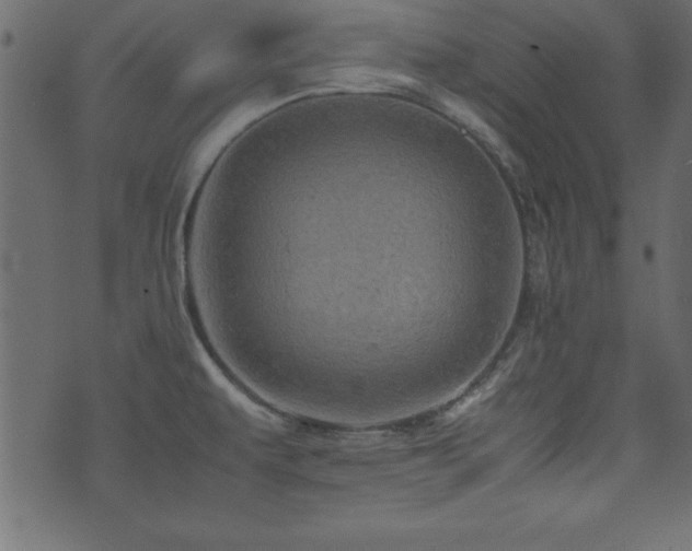 X0000071761479200606301118