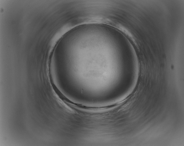 X0000071761480200606301118