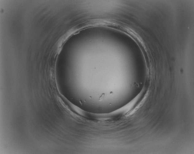 X0000071761481200606301118