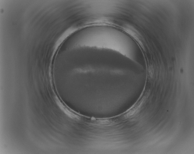 X0000071761482200606301118