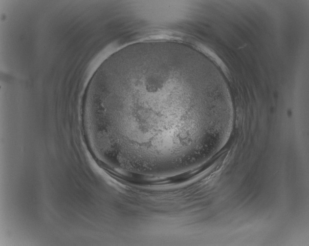 X0000071761483200606301118