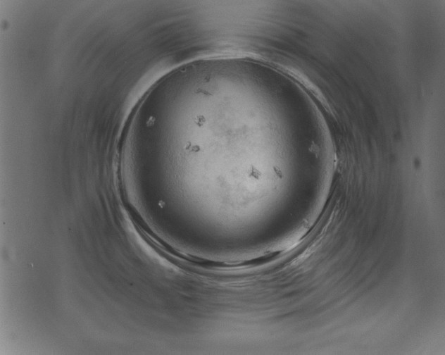 X0000071761484200606301118