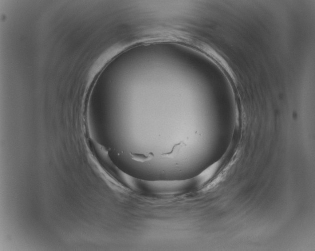 X0000071761485200606301118