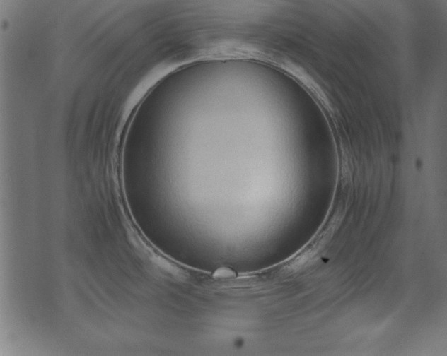 X0000071761486200606301118