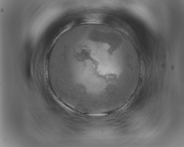 X0000071761487200606301118