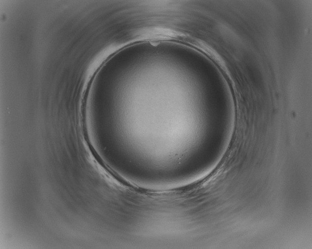 X0000071761488200606301118