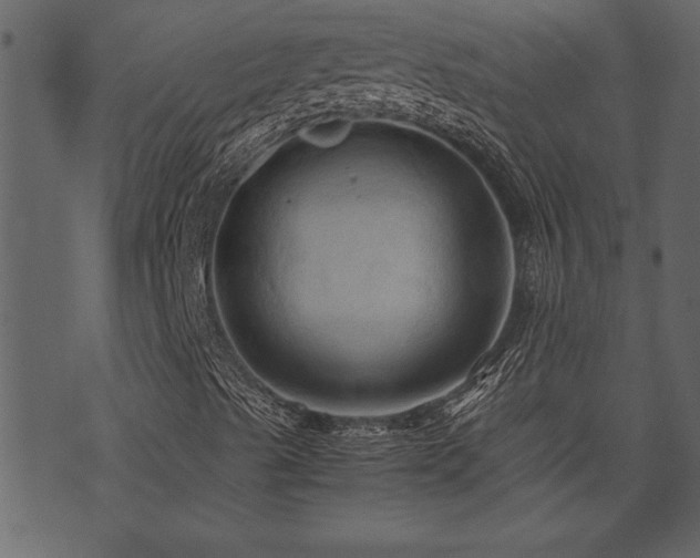 X0000071761489200606301117