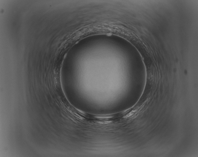 X0000071761490200606301117