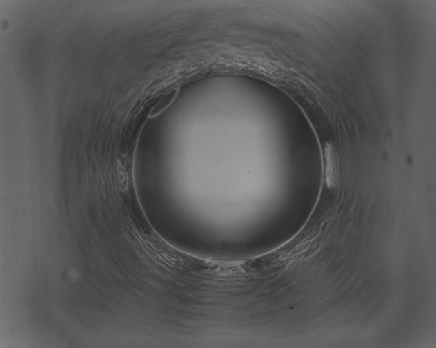 X0000071761491200606301117