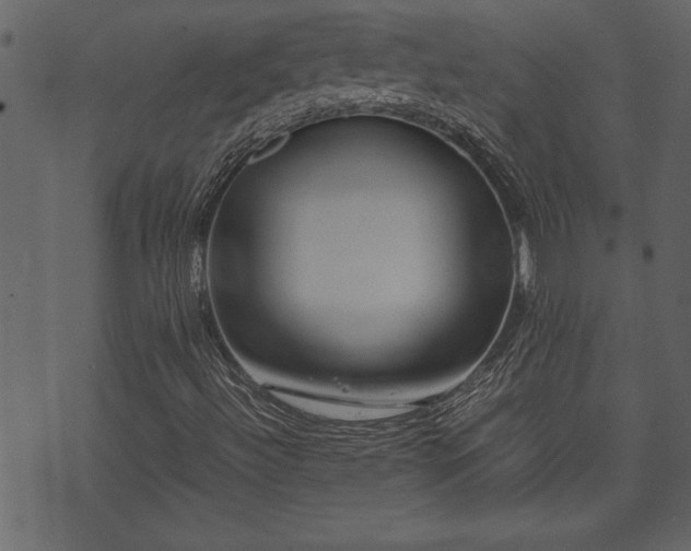 X0000071761492200606301117