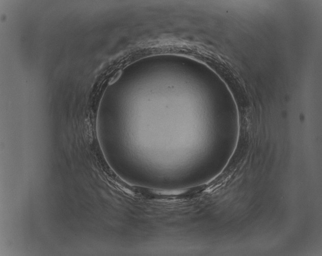 X0000071761493200606301117