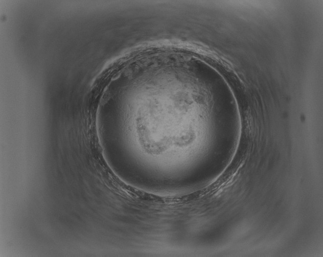 X0000071761494200606301117