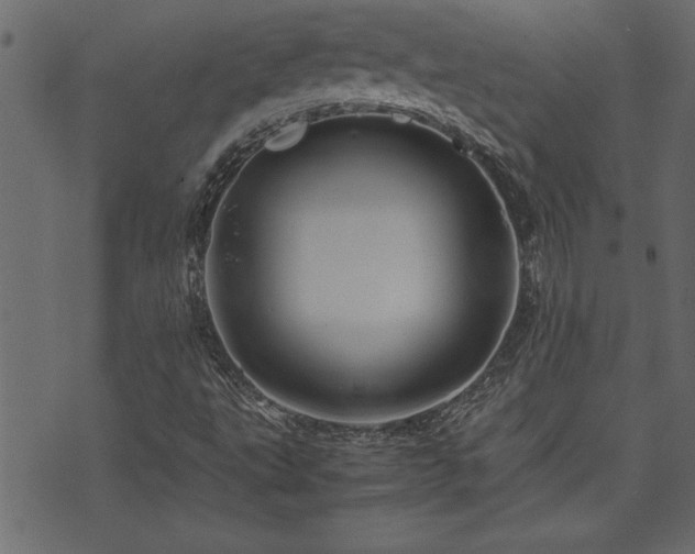 X0000071761495200606301117