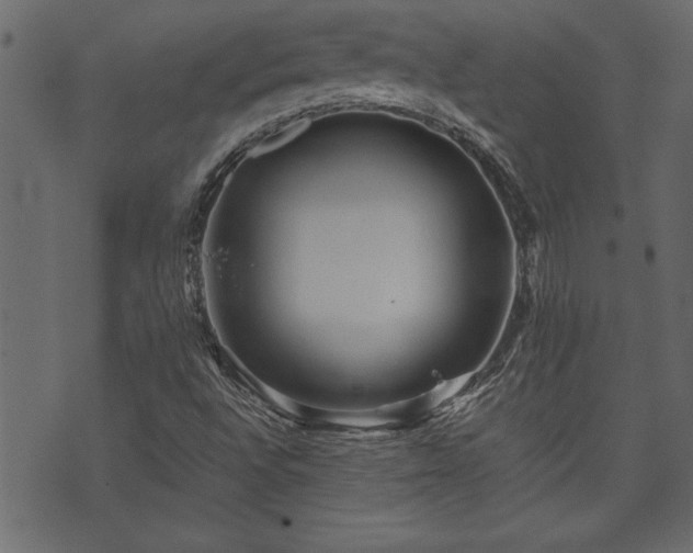 X0000071761496200606301117