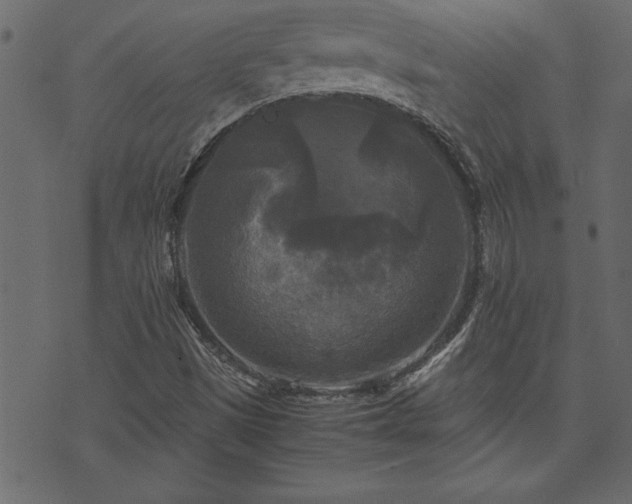 X0000071761497200606301117