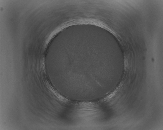 X0000071761498200606301117